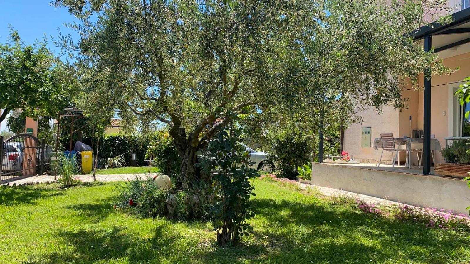 Apartment Gracijana Porec Exterior photo